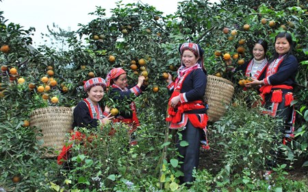 Hà Giang hạn chế thấp nhất tình trạng tái nghèo