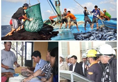 Quyết liệt giải quyết sự cố môi trường biển 4 tỉnh miền Trung