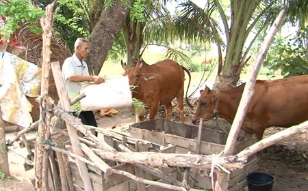 Sóc Trăng cần nhân rộng các mô hình sinh kế giảm nghèo bền vững