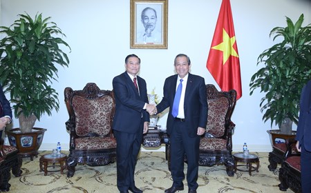 Phó Thủ tướng Trương Hòa Bình tiếp lãnh đạo Ủy ban Trung ương Mặt trận Lào xây dựng đất nước