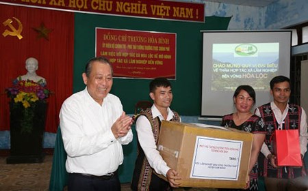 Phó Thủ tướng Thường trực thăm HTX Lâm nghiệp bền vững tại Thừa Thiên-Huế
