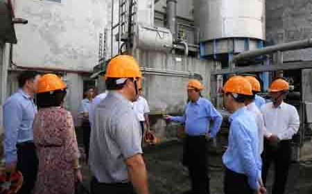 Phó Thủ tướng Thường trực chủ trì họp về xử lý dự án Nhà máy Bột giấy Phương Nam