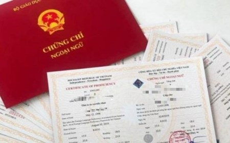 Cắt giảm các chứng chỉ phải gắn với nâng cao chất lượng đào tạo, bồi dưỡng cán bộ