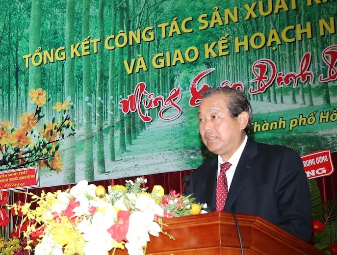 Tập đoàn Cao su cần quản lý chặt chẽ và sử dụng hiệu quả đất đai - ảnh 1