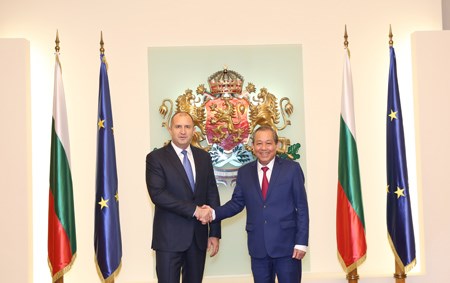Phó Thủ tướng Thường trực hội kiến Tổng thống Bulgaria Rumen Radev - ảnh 1