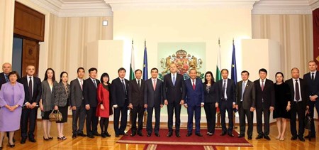 Phó Thủ tướng Thường trực hội kiến Tổng thống Bulgaria Rumen Radev - ảnh 2